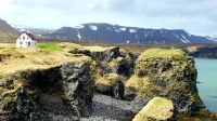 Island Rundreise: Arnarstapi.
