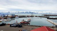 Island Rundreise: Húsavik.