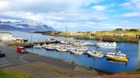 Island Rundreise: Djúpivogur.