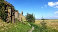 Island Rundreise: Dverghamrar.