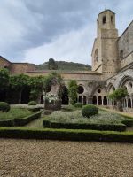 019 Fontfroide