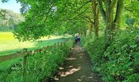 058 Wanderung durch die Meadows auf Sark