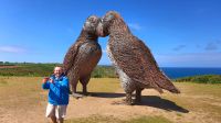 076 Papageientaucher und Wanderführer Remi bei Plemont Bay