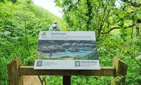 094 Wanderweg hinab zum Devils Hole