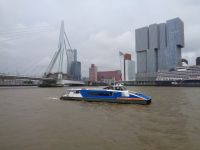 Wassertaxi + Erasmusbrücke, Rotterdam, Niederlande