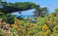 172 Wanderung an der Südküste von Jersey