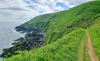193 Wanderung an der Nordostküste von Jersey