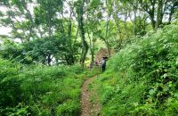 194 Wolfs Lair an der Nordostküste von Jersey