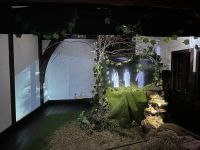 Rumänien - Bran - Draculaschloss