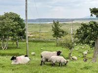 5. Reisetag – Von Letterkenny nach Leenane – Wanderung auf der Halbinsel Mullaghmore