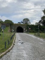 Hirsche auf dem Tor von Petrovaradin