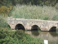 Fertilia. Römerbrücke