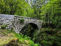 Die Teufelsbrücke über dem Mostnicafluß in Stara Fuzina