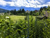 Wir wandern zur Teufelsbrücke, Starina Fuzina