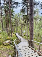 Tag 6 - Wanderung zum Ausblick über Finnland 