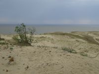 Nidden: Dünenlandschaft