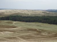 Nidden: Dünenlandschaft