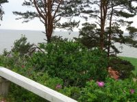 Nidden: am Thomas-Mann-Haus