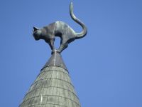 Riga: Katze