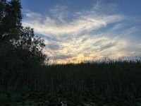 Rumänien - Katamaranfahrt im Donaudelta