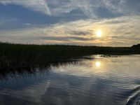 Rumänien - Katamaranfahrt im Donaudelta