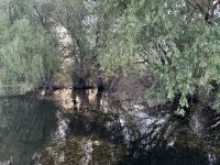 Rumänien - Katamaranfahrt im Donaudelta