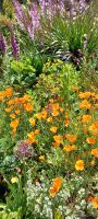 Blumenbeet