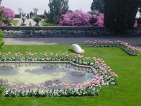 Gartenparadies Isola Bella