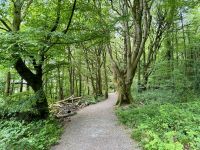 9. Reisetag – Von Gort nach Tralee – Kleine Wanderung im Coole Park
