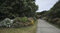Tresco Abbeygardens