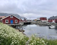 Tag 8 - Henningsvær