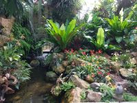 Jersey Eric Young Orchid Foundation