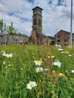 Helensburgh Hafen 01