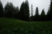 Spaziergang über die Schwägalp