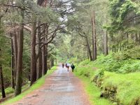 12. Reisetag – Tag in den Wicklow Mountains – Regenwanderung in Glendalough