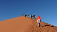 Düne 45 im Namib Naukluft Nationalpark (4)
