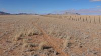 Fahrt nach Swakopmund (1)