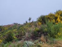 Pico do Areeiro