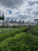 Brooklyn Grange Farm