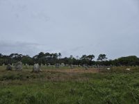 34 Carnac Menhire