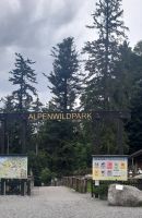 Wildtierpark am Pfänder