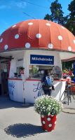 Milchpilz in Bregenz 