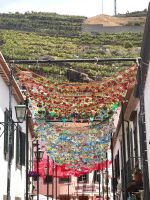 Fischerdorf Camara de Lobos