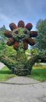 Insel Mainau