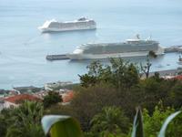 Blick vom Botanischen Garten auf den Hafen