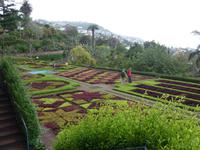 Botanischer Garten von Funchal