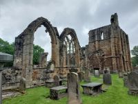 Elgin Kath 02