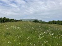 Irland, Carrowmore