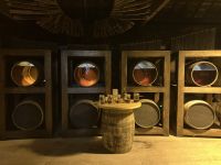 Irland, Besuch bei Midleton & Whiskey-Verkostung