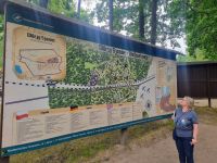 Die Wolfsschanze (5)